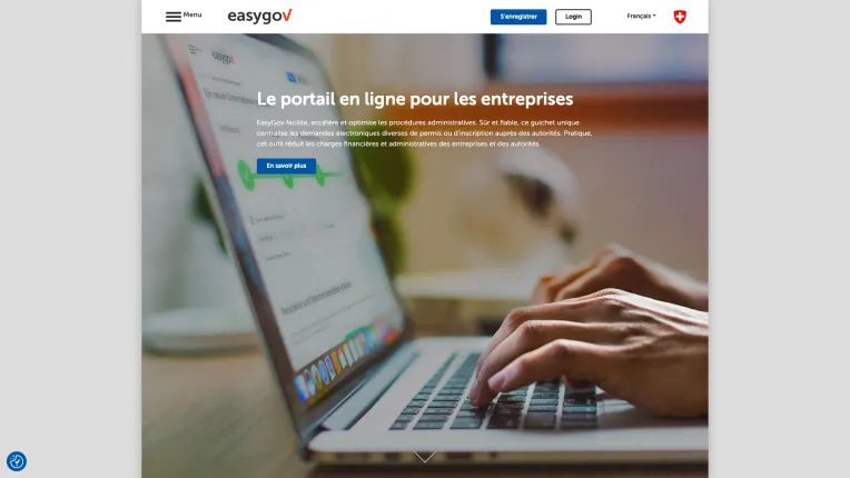 Aperçu du portail EasyGov